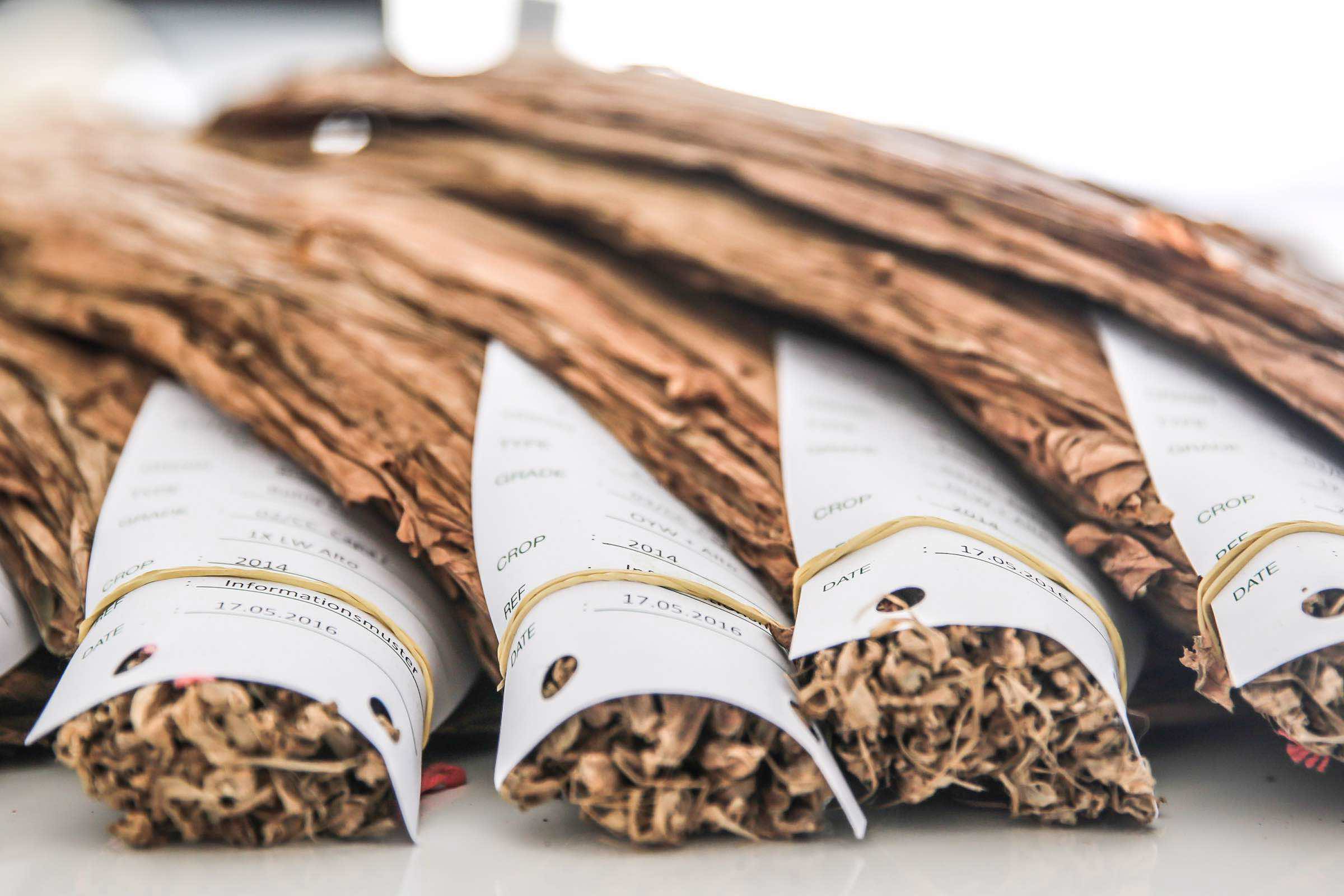Zigarrendreher | Hamburg | Zigarrenroller | Trocadero | Zigarren | Drehen | Tabak | Banderole | Bauchbinde | Tabak | Sumatra | Brasilien | Indonesion | Cuba | Torpedo | Robusto | Churchill | Corona