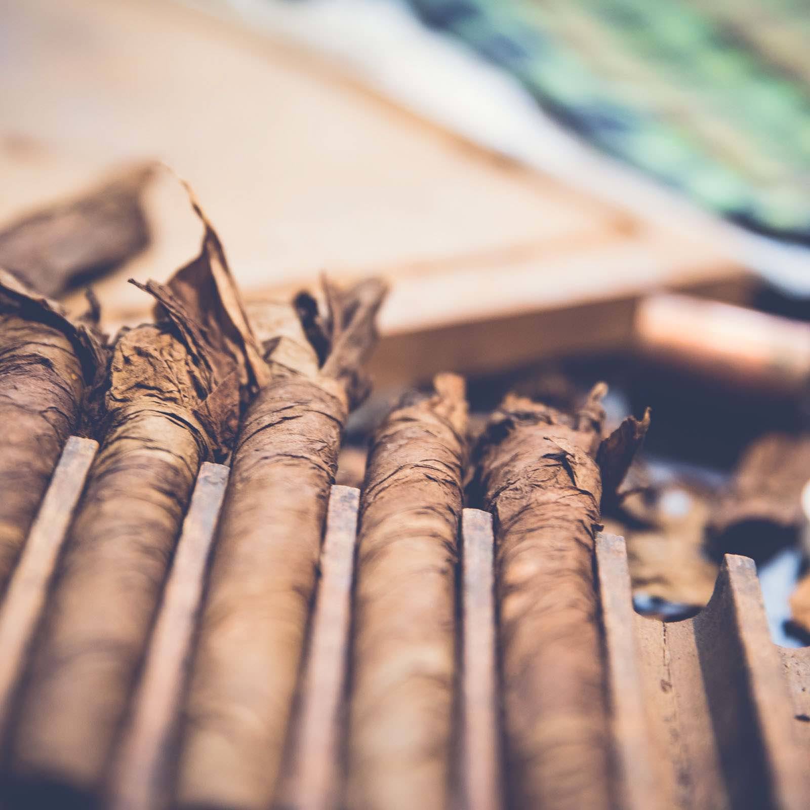 Zigarrendreher | Hamburg | Zigarren | Drehen | Zigarrenroller | Zigarrenrollerin | Zigarrendreherin | Mieten | Anfragen | Trocadero | Handgemacht | Zigarren | Shop | Geschenk | kaufen | Robusto | Corona | Torpedo | Banderole | Tabak